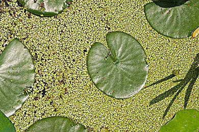 《霍格沃兹的传承》招聘资深角色美术师 透露游戏相关细节